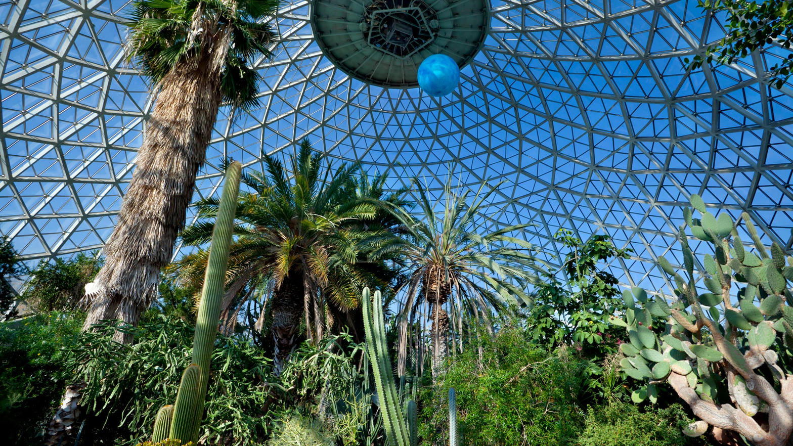 Mitchell Park Domes iconic geodesic conservatory with lush tropical plants